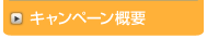 キャンペーン概要