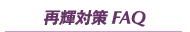 �ċP�΍� FAQ