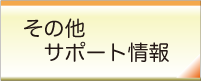 ���̑��T�|�[�g���
